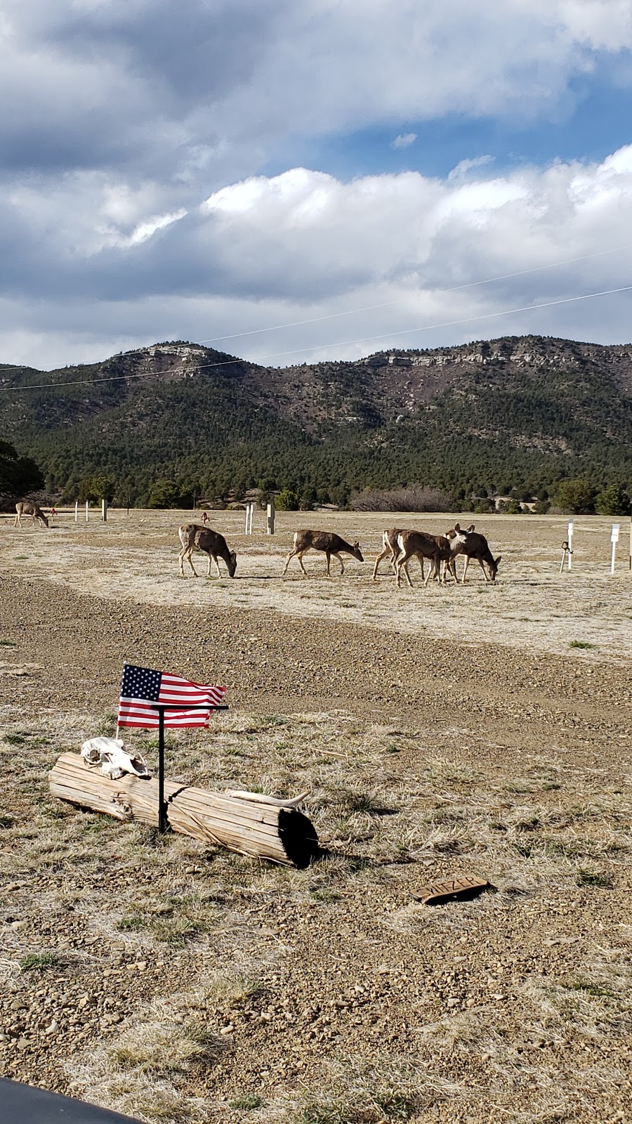 NRA Whittington Center