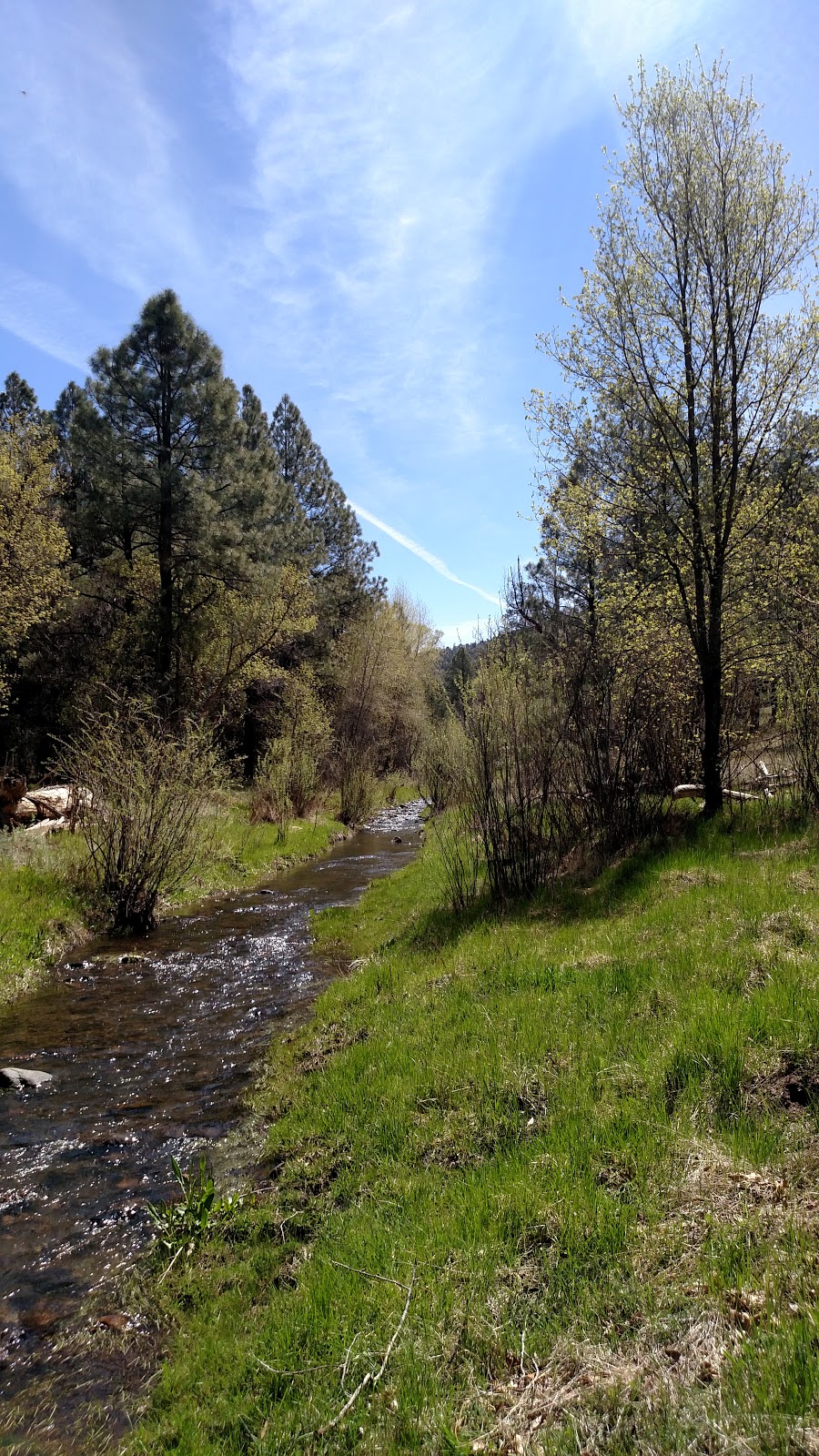 Black Canyon Campground-Upper
