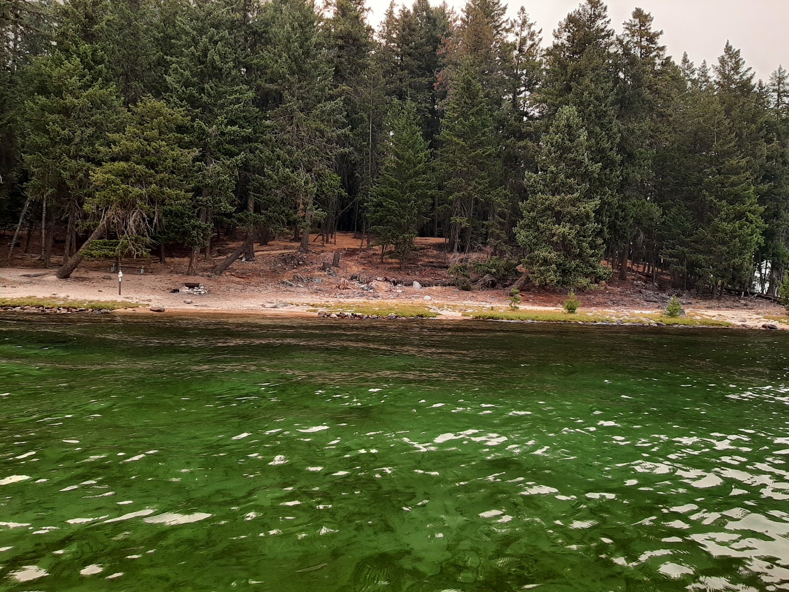 Bartoo Island Campground