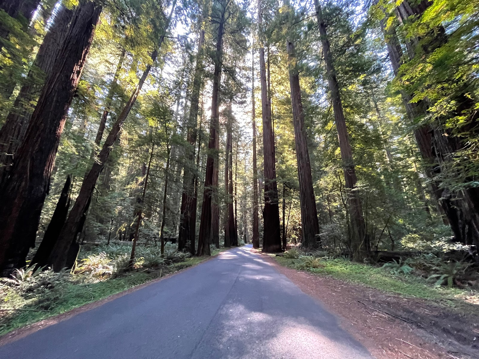 Patterson Campground