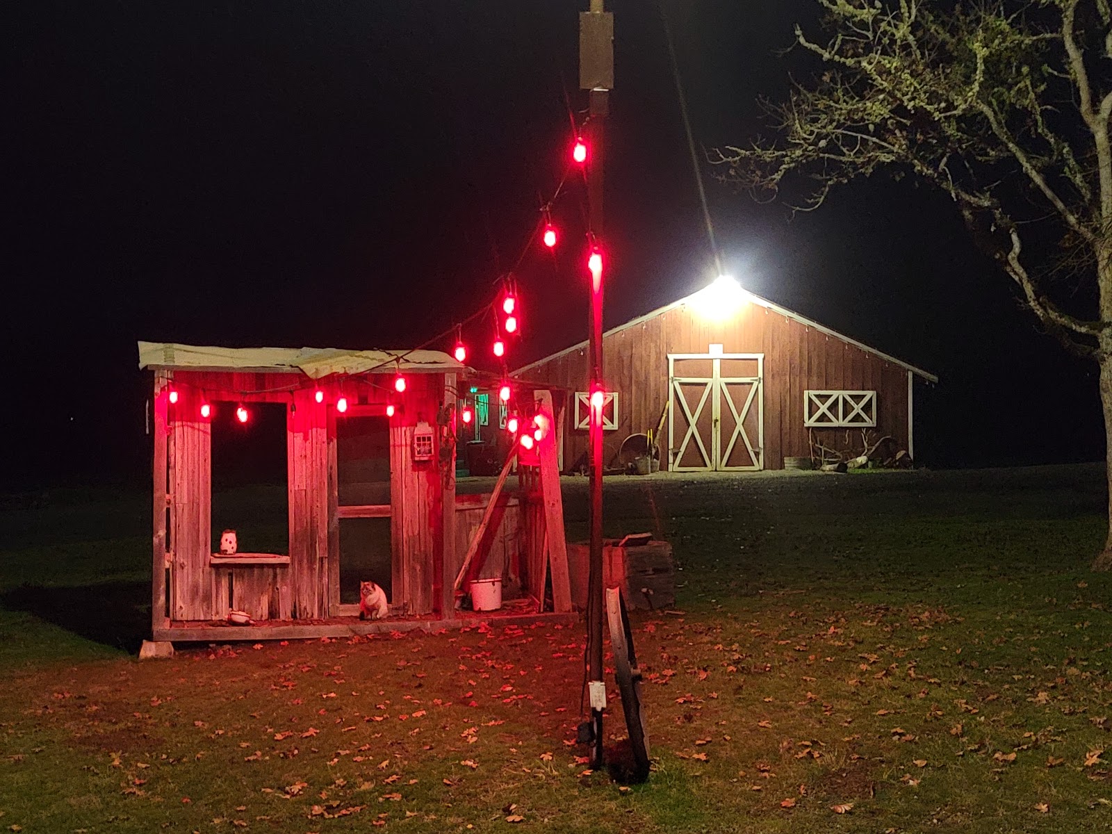 Joe Creek Waterfalls RV Park