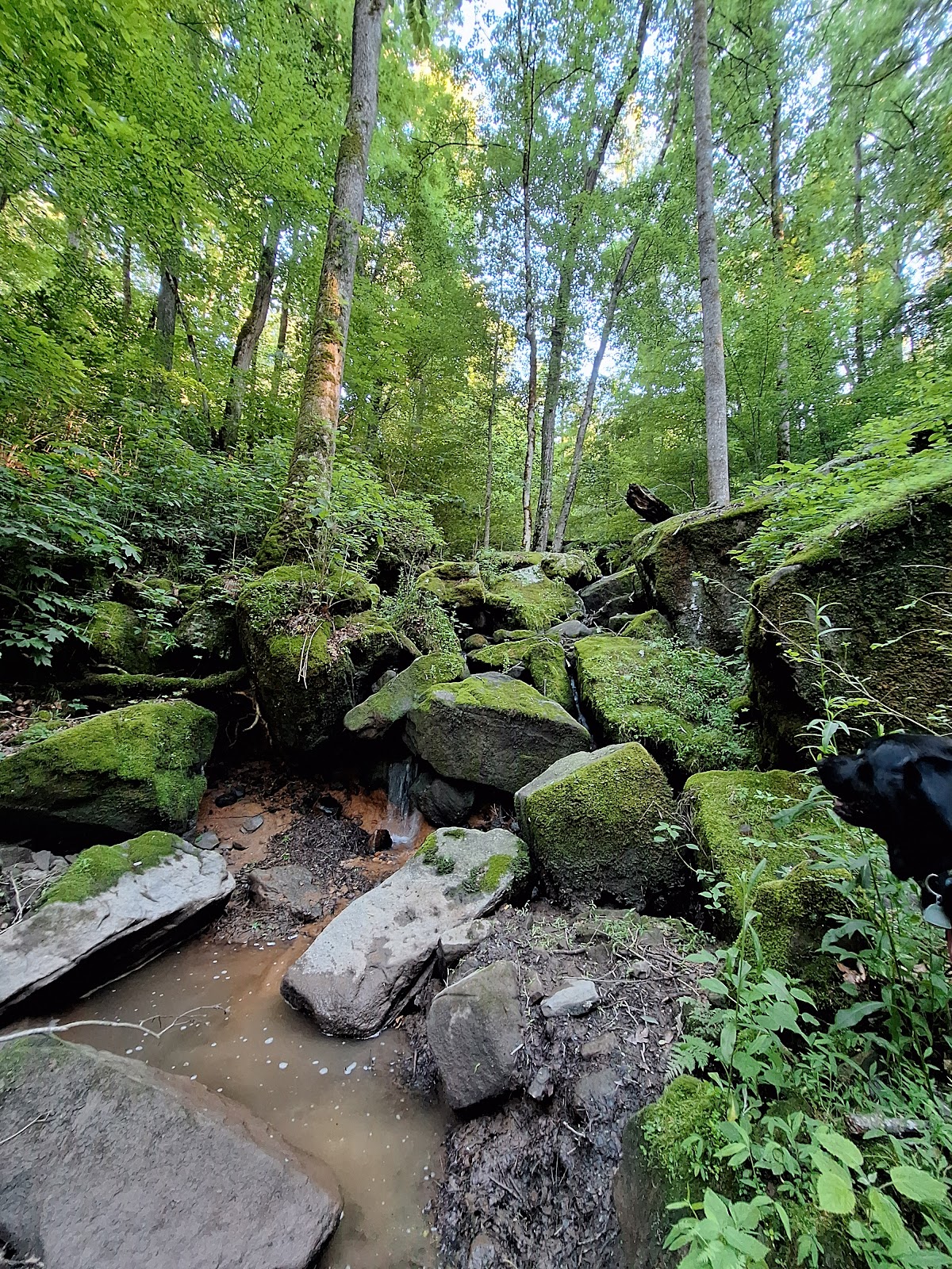 Bucks Pocket State Park