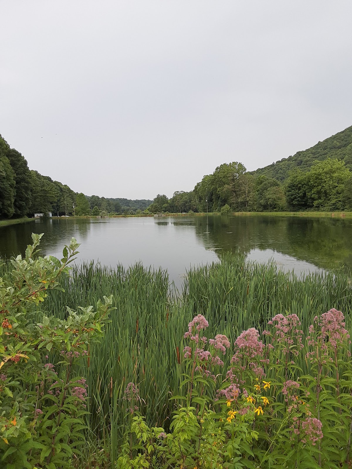 Beartree Recreation Area