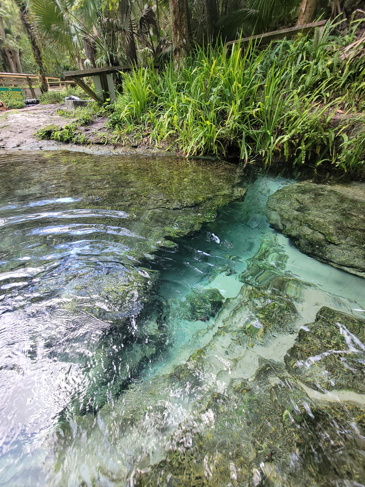 Kelly Park / Rock Springs