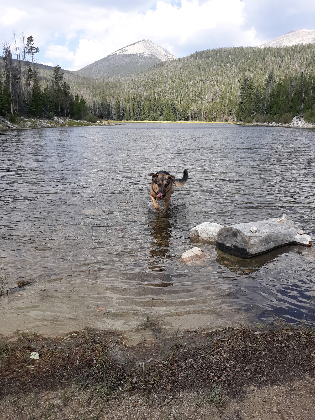 Dinner Station Campground