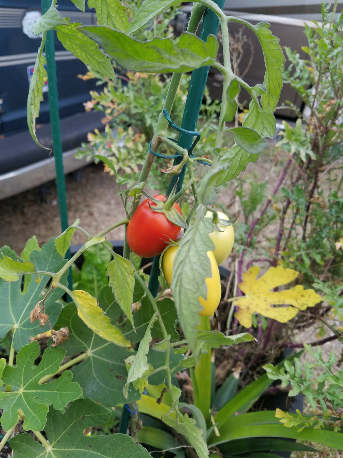 Travel Towne RV Resort