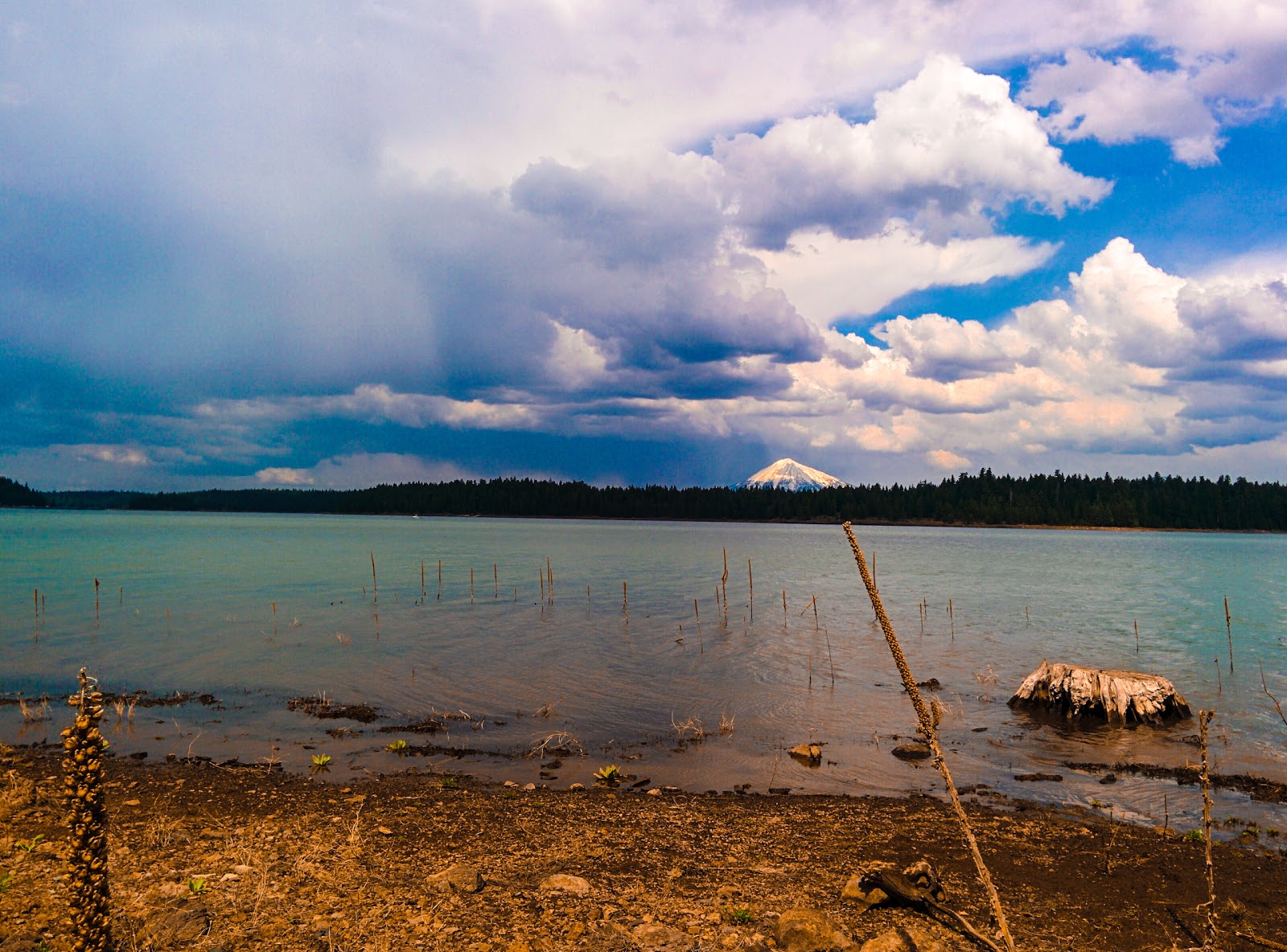 Willow Point Campground - Howard Prairie Rec Area