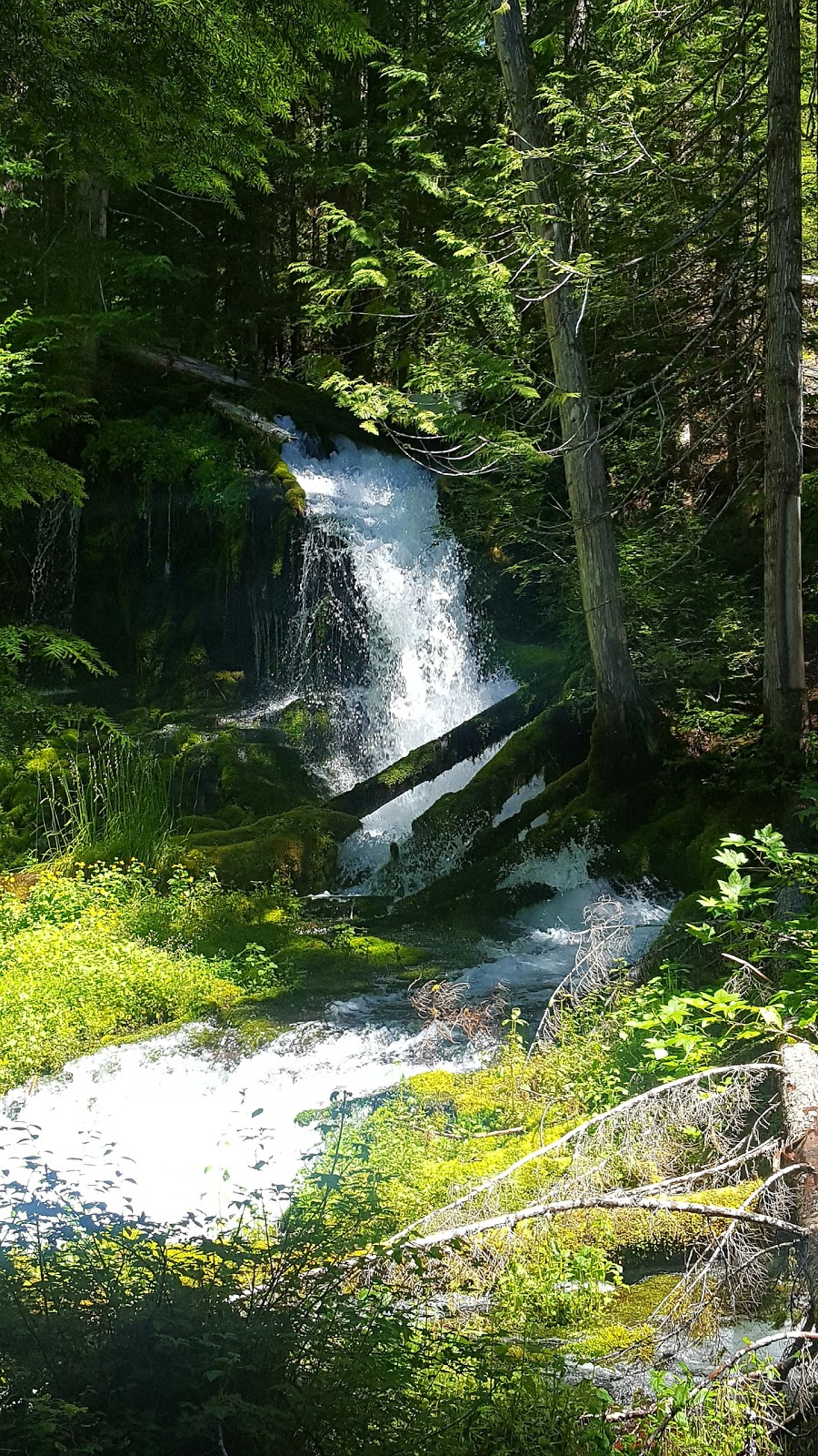 Takhlakh Lake Campground