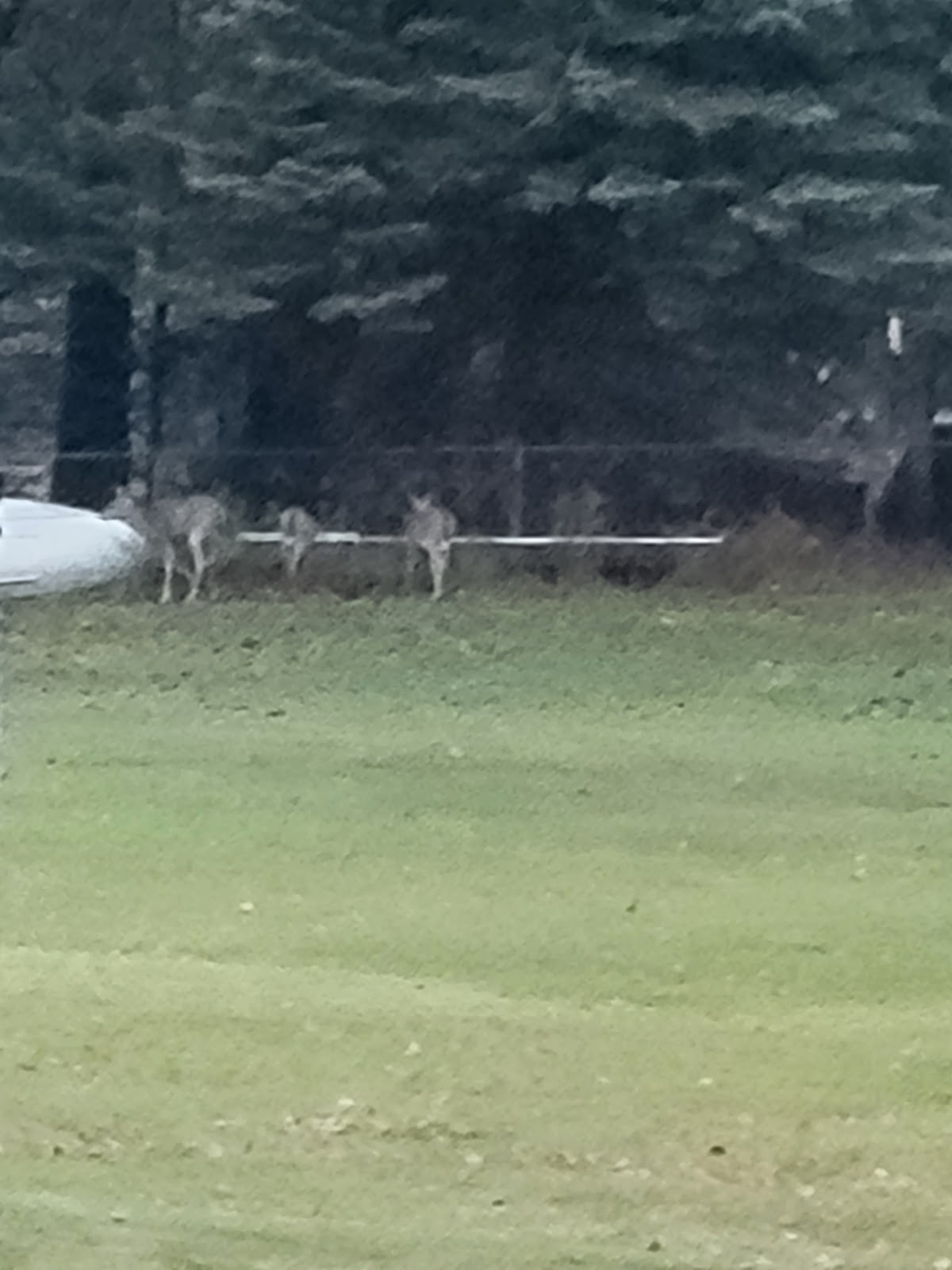 Artesia Beach Campground and Marina