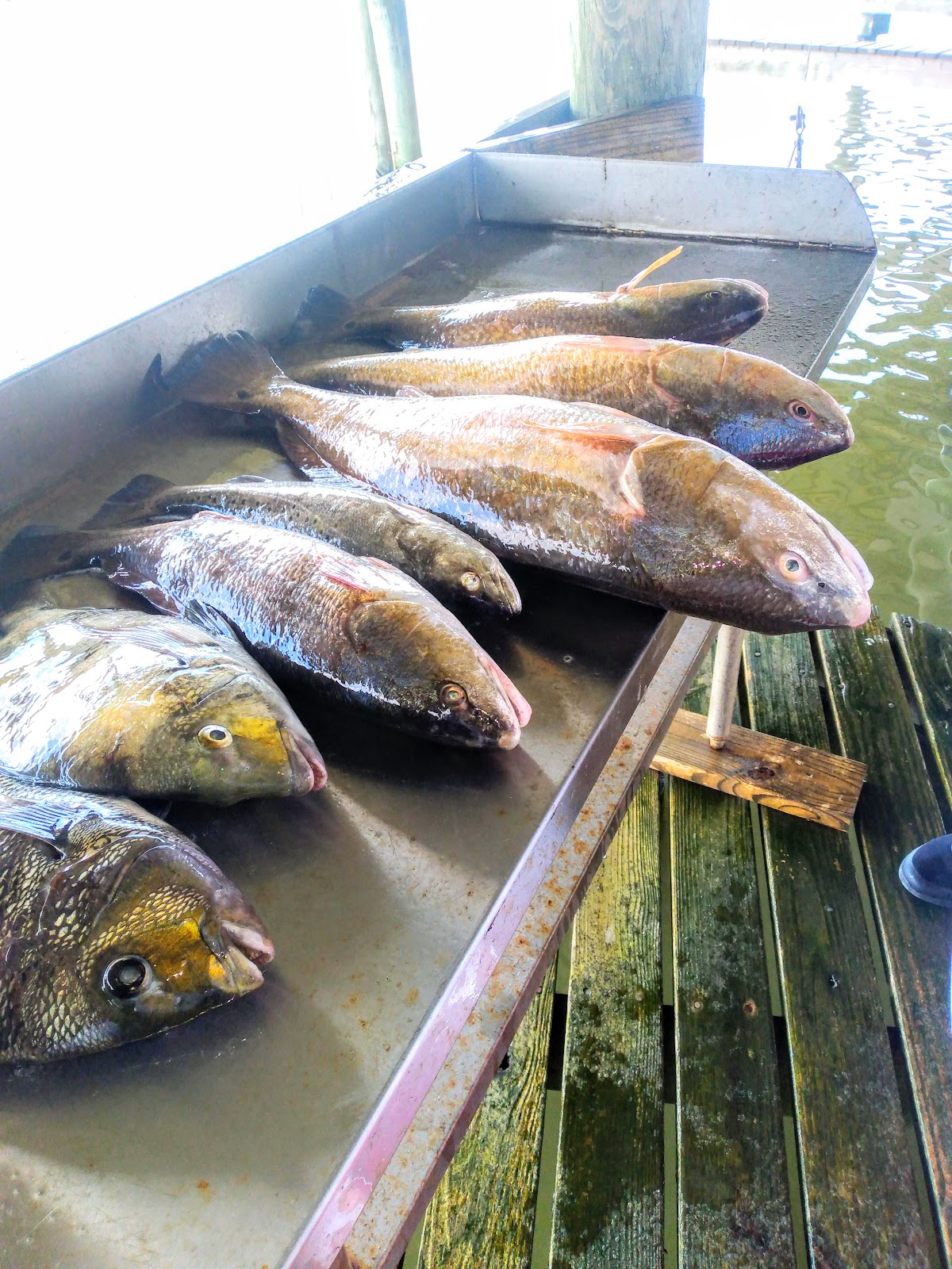 Eagle Point Fishing Camp
