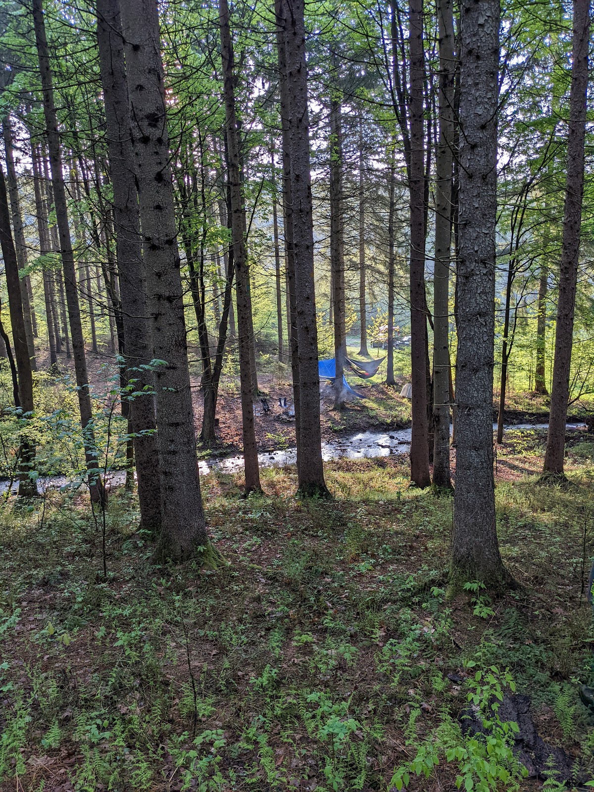 Oquaga Creek State Park