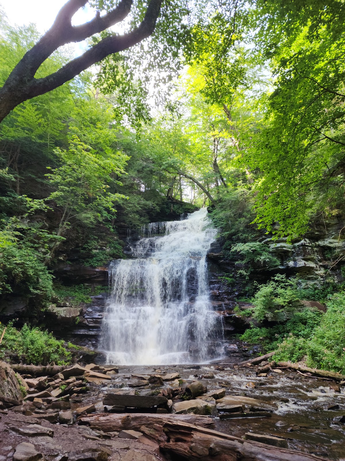 Ricketts Glen State Park