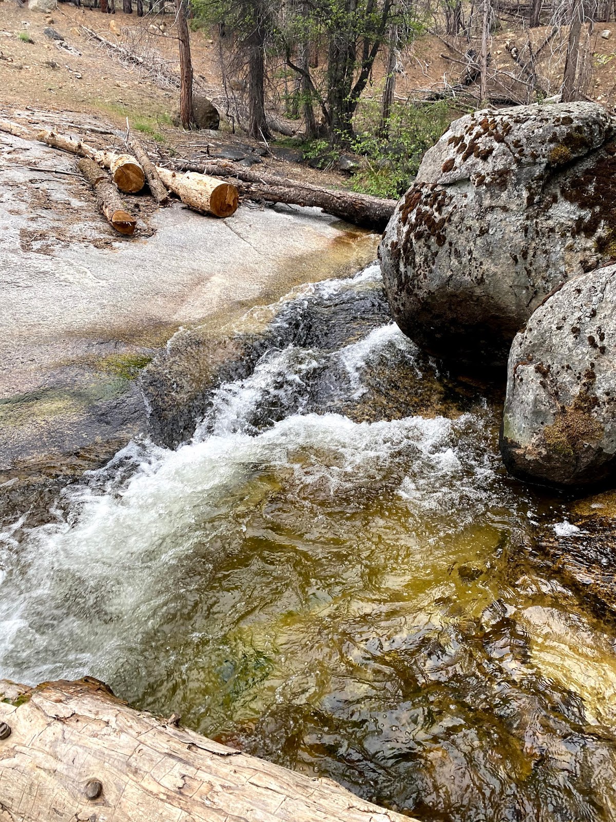 West Kaiser Campground