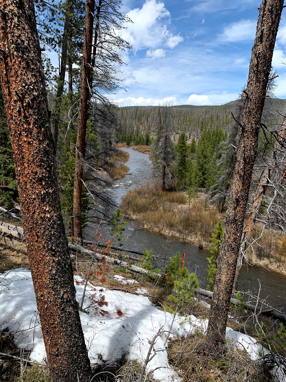 Pelton Creek Campground