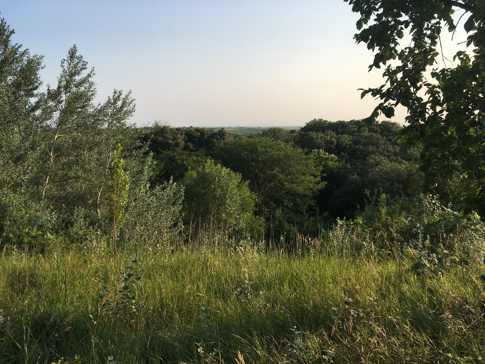 Main Camp - Union Grove State Park