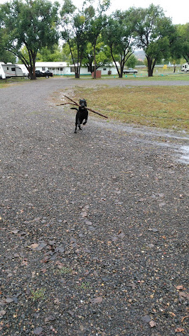 Willow Springs RV Park