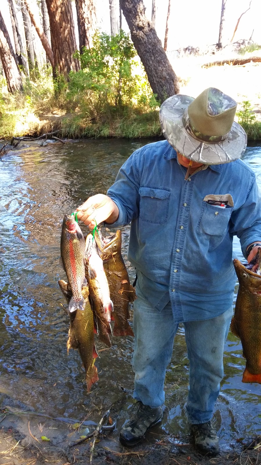 Twin Bridges Campground