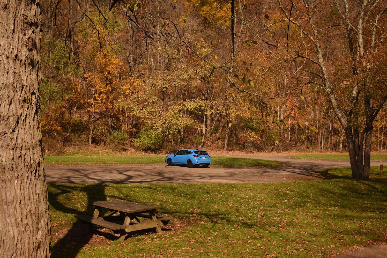 Tomlinson Run State Park