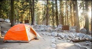 Lodgepole Campground