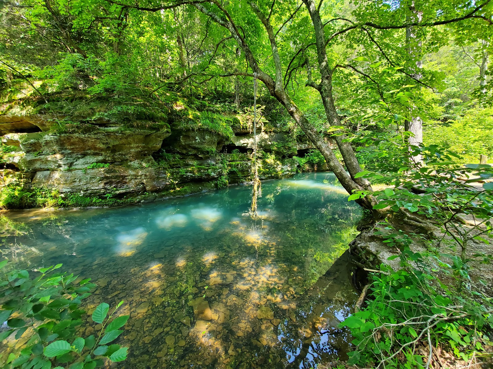 Red Bud - Bell Smith Springs Rec Area