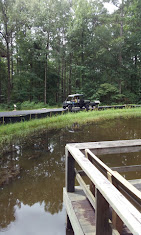 Felsenthal National Wildlife Refuge