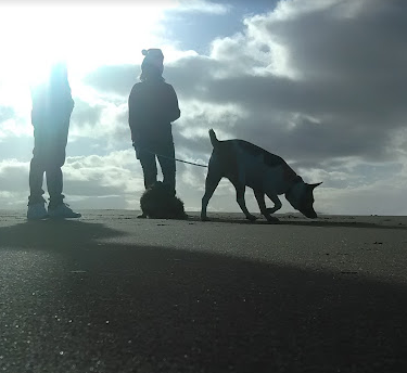 Mauch Cleo Sundown RV Park