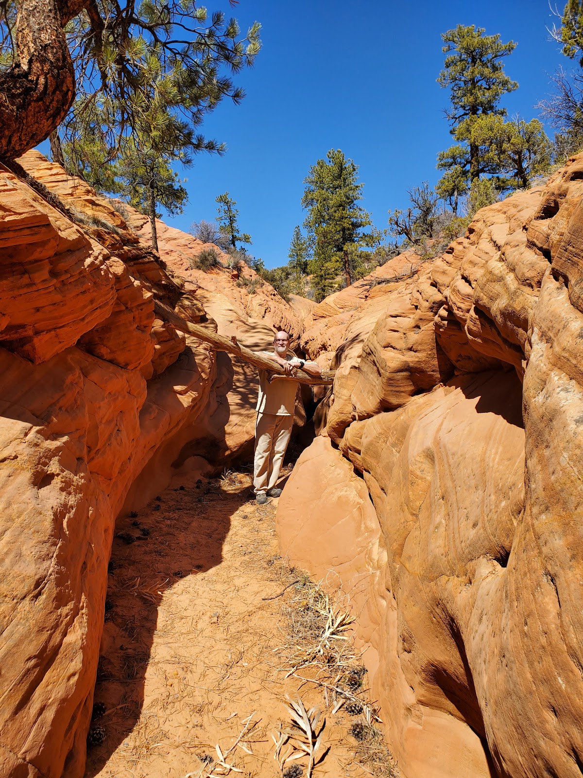 Coral Pink Sand Dunes Campground