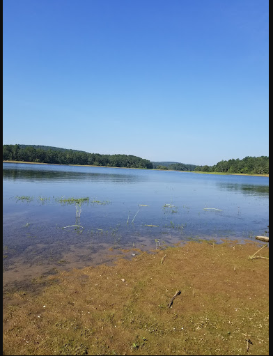 Ozan Point Recreation Area
