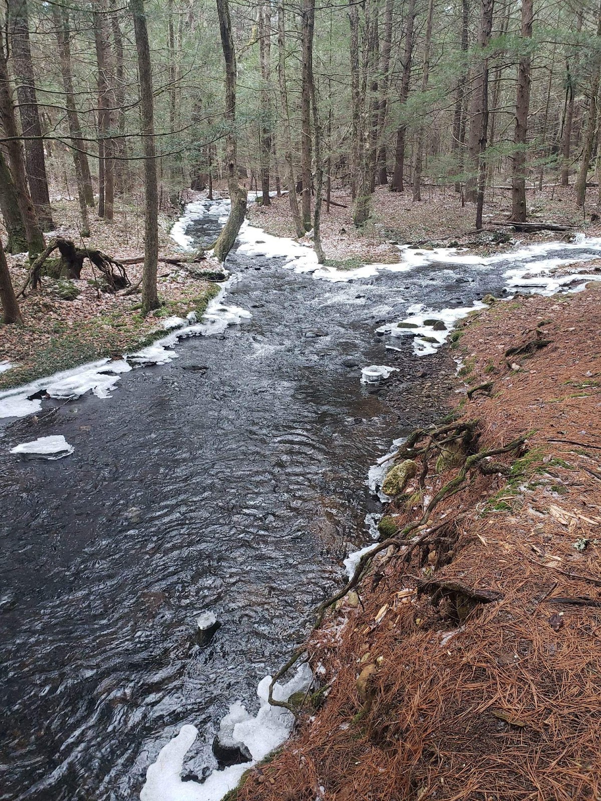 Peaceful Acres Campground