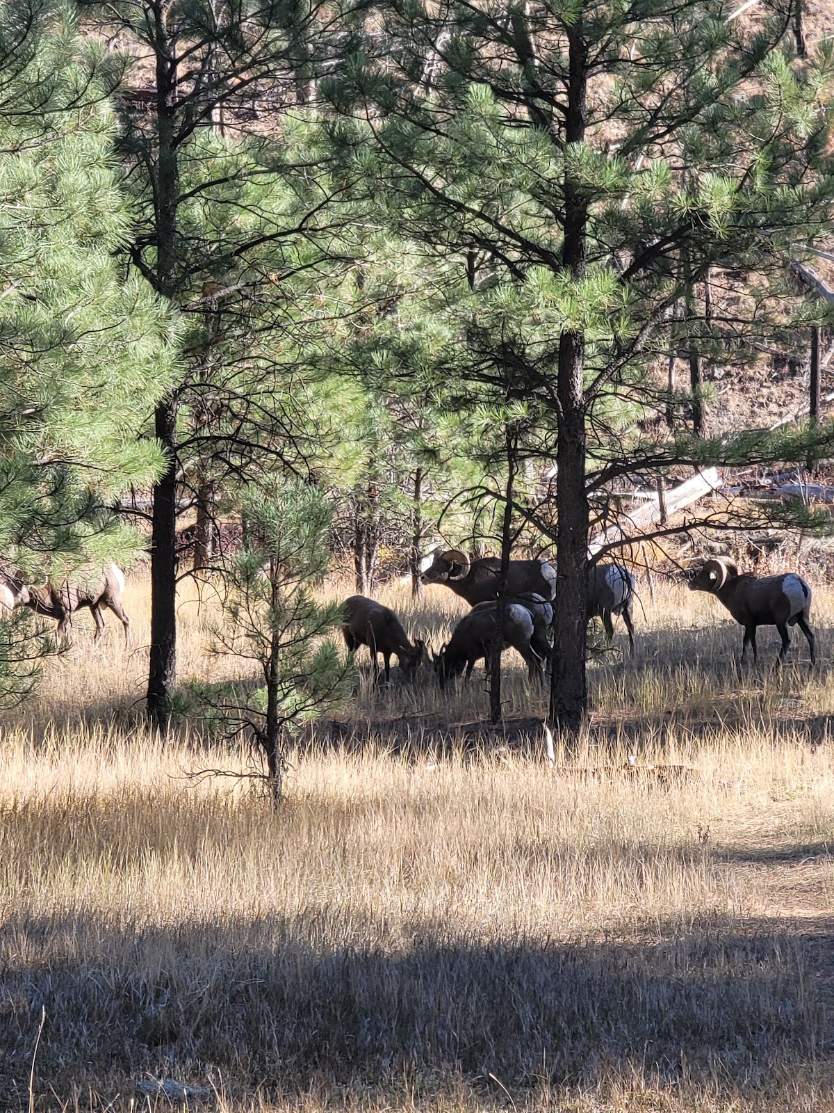 Horse Springs Campground