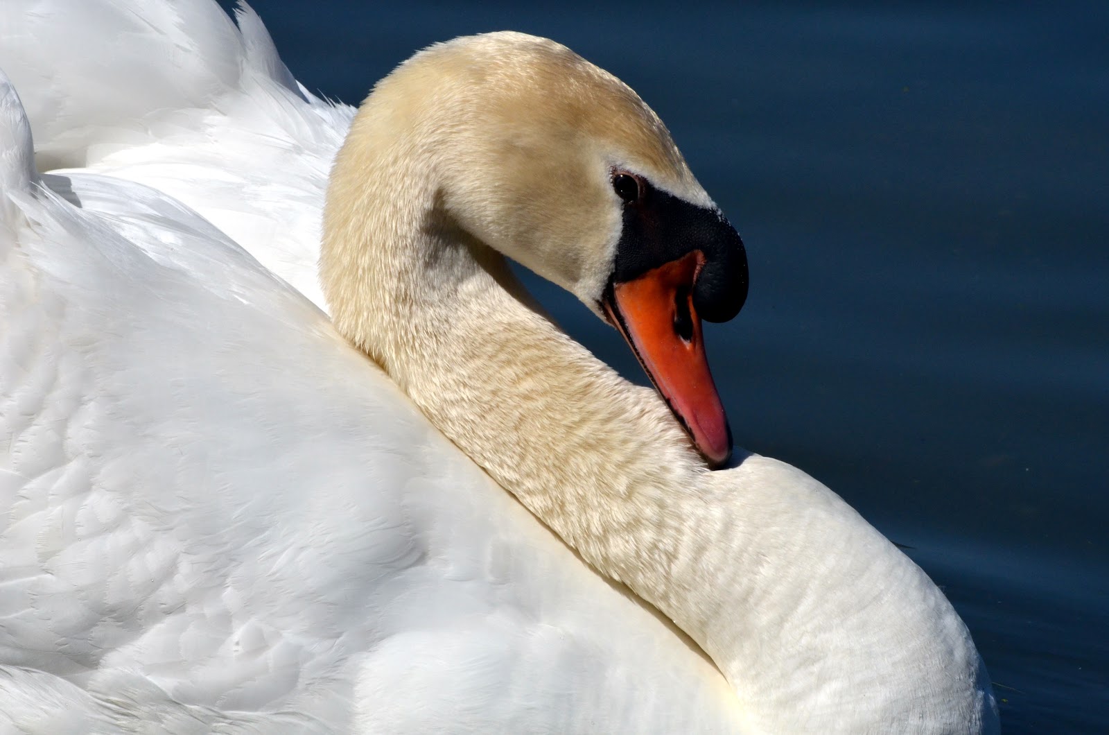 Hidden Pond Campground