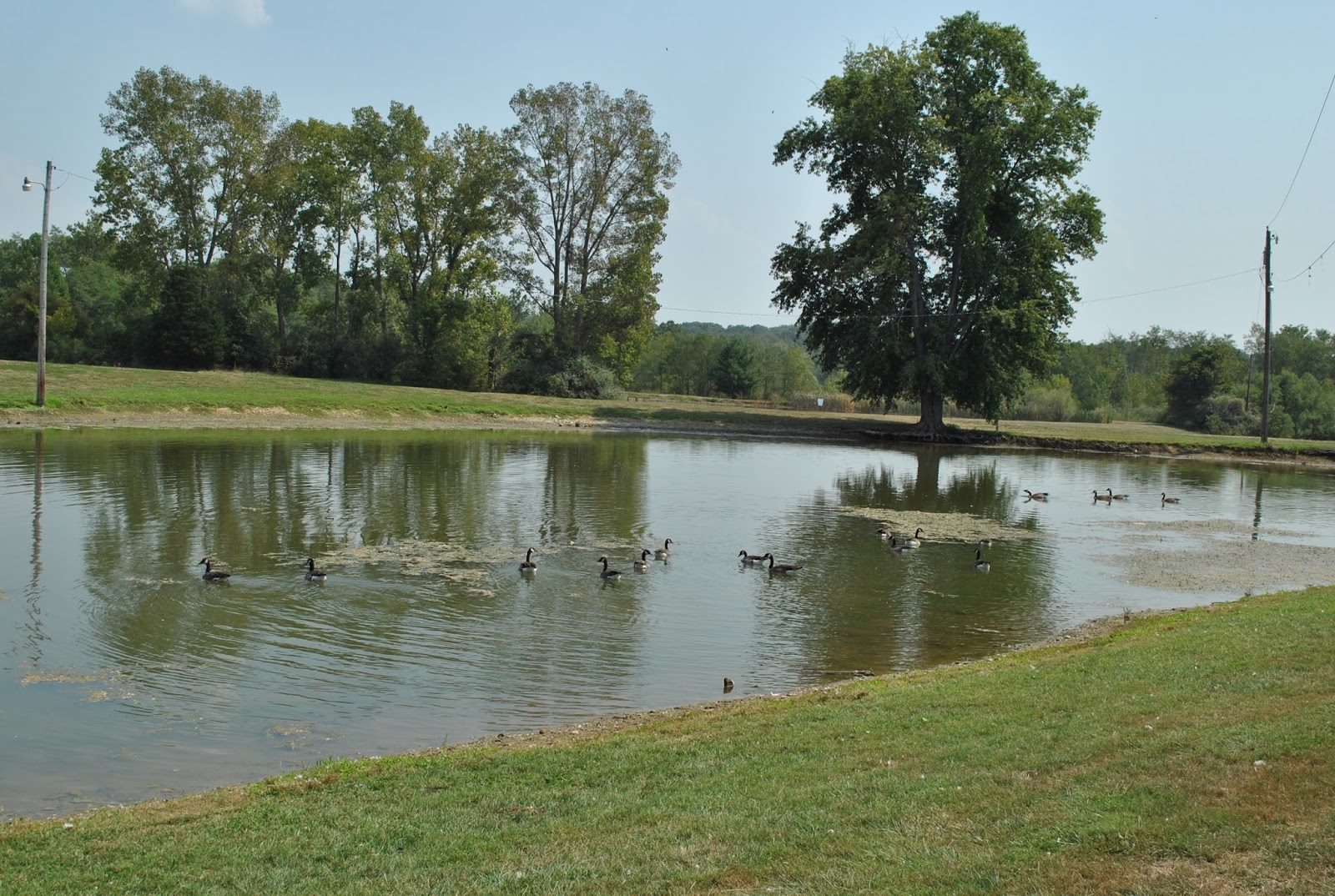 Thousand Trails Preserve / Wilmington