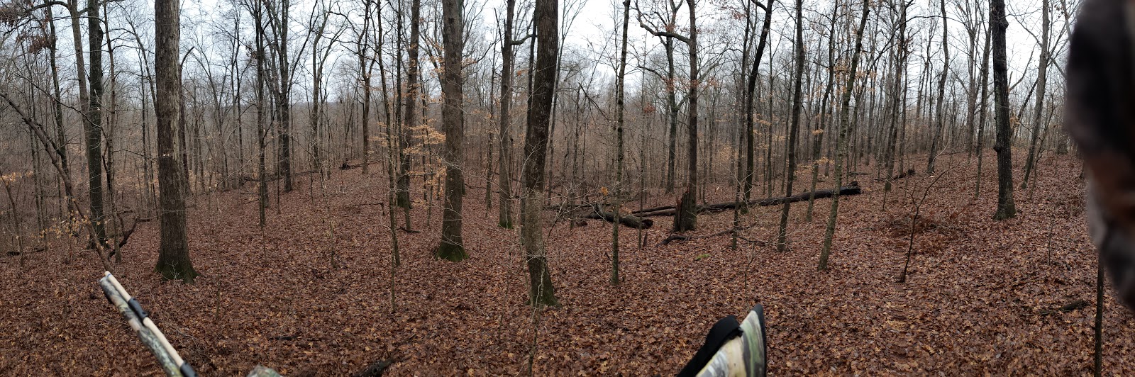 L.B. Davidson Public Wildlife