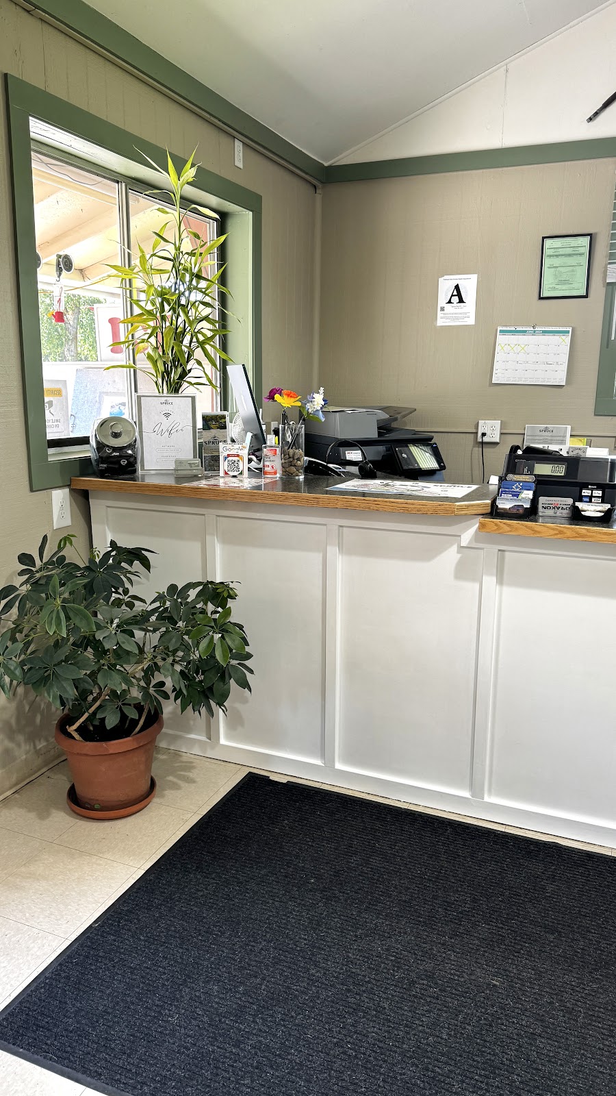 Spruce Park on the River