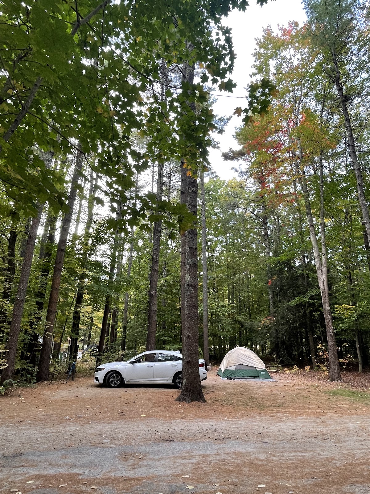 Bradbury Mountain State Park Campground