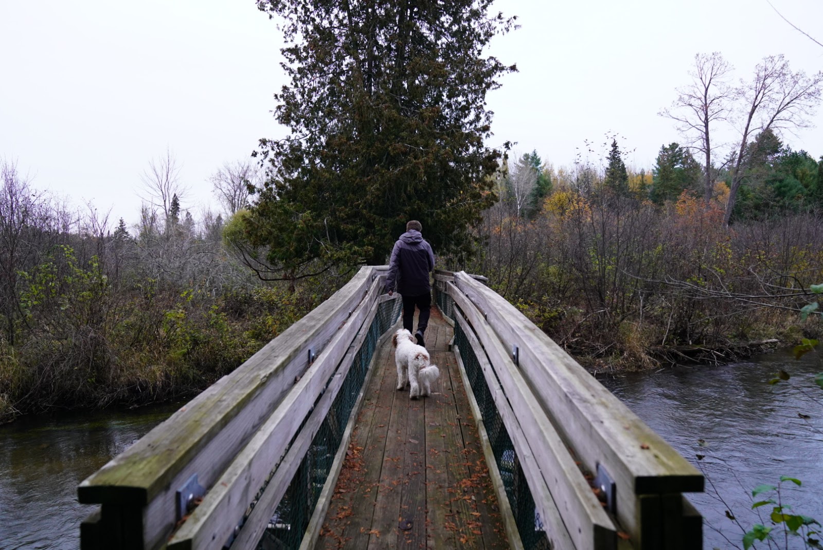 Pine Grove SF Campground