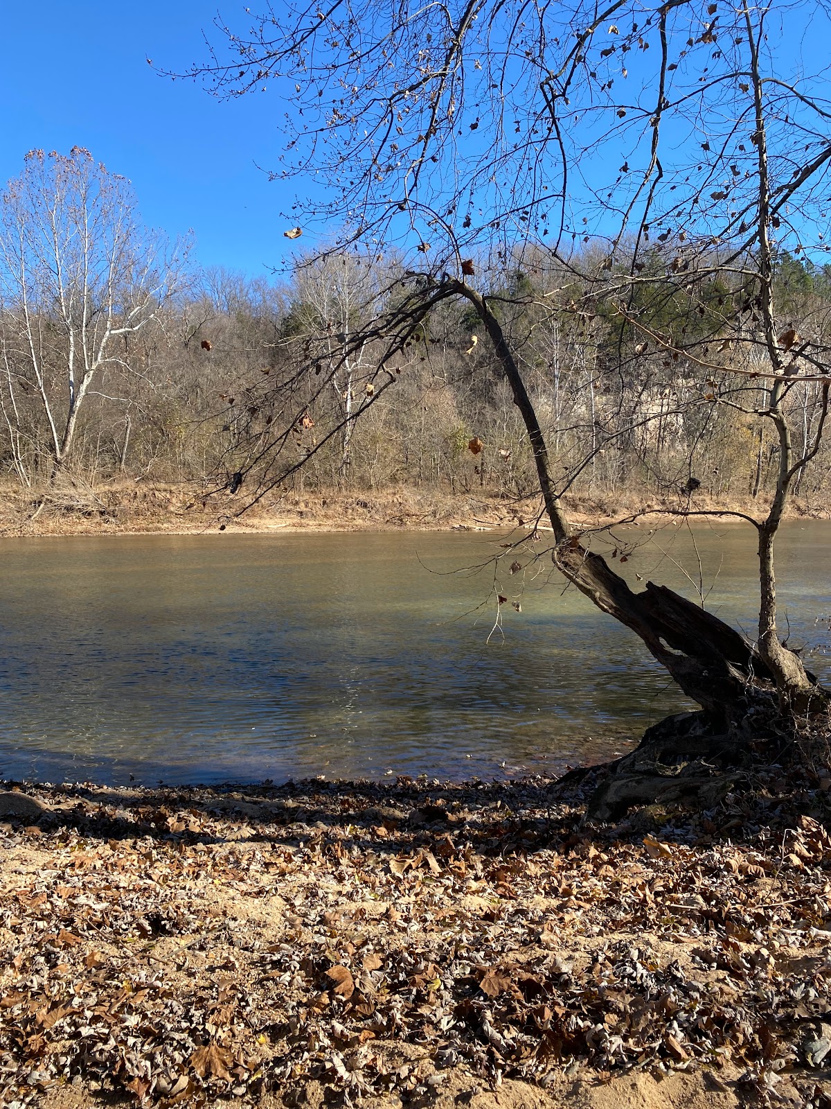 Blue Springs Ranch & Resort