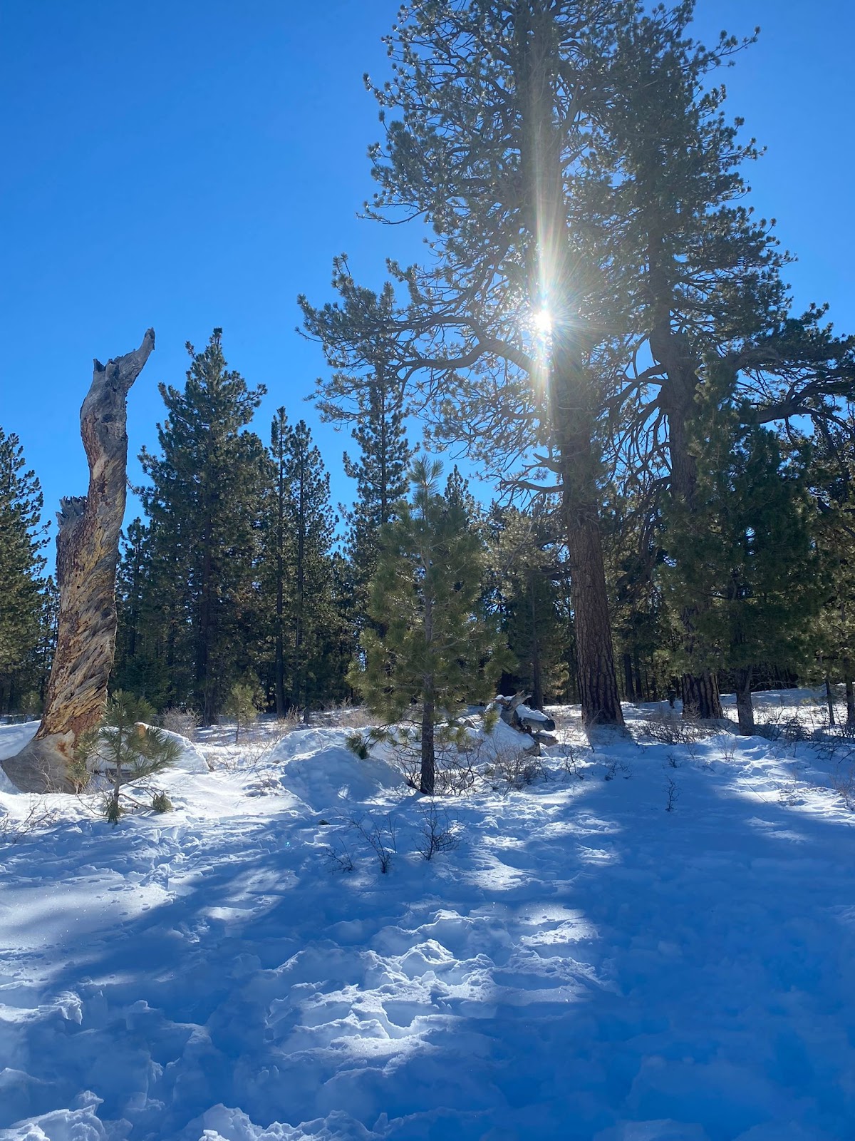 Valle Vista Campground