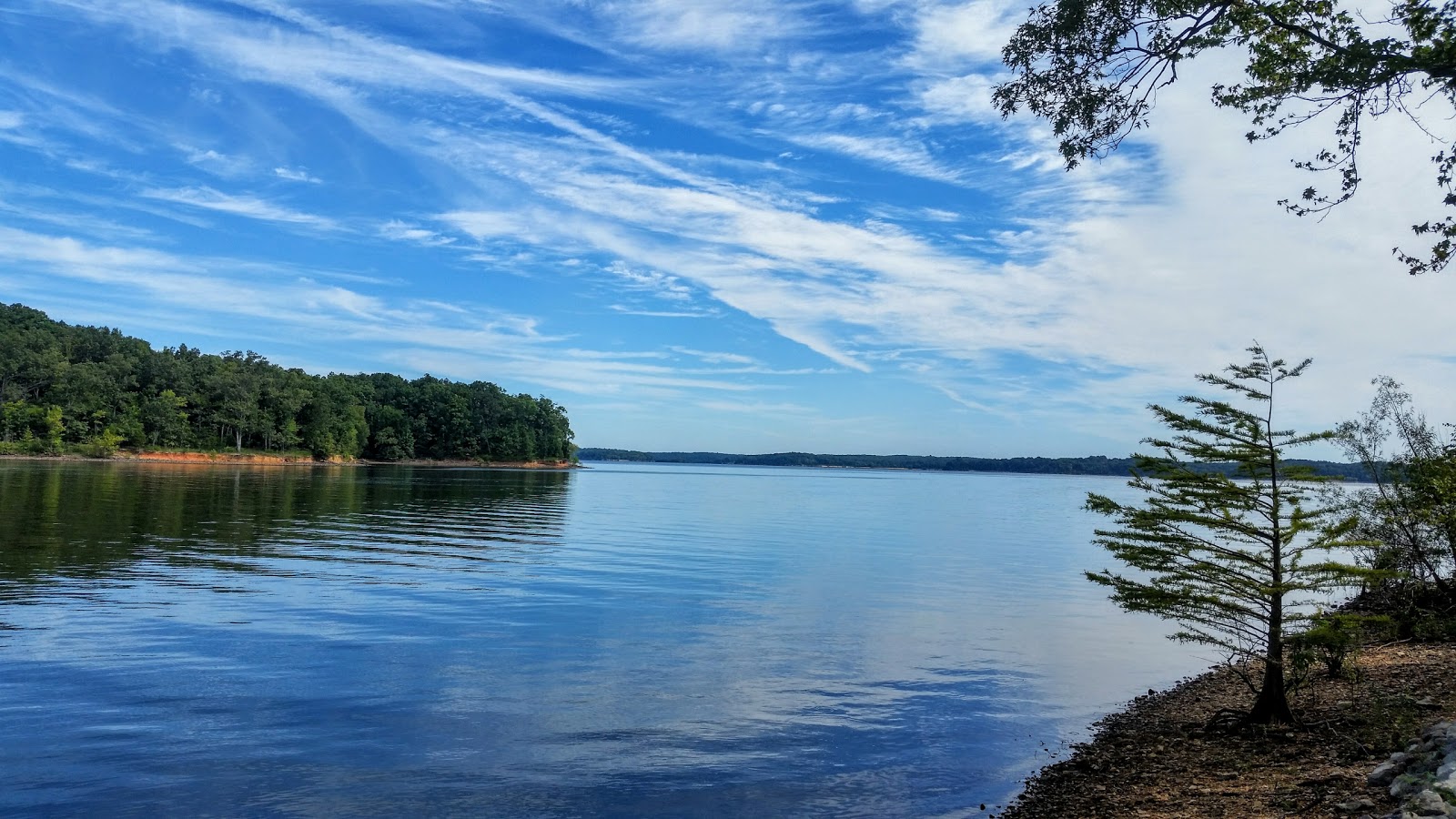 Bee Spring Lodge & Marina