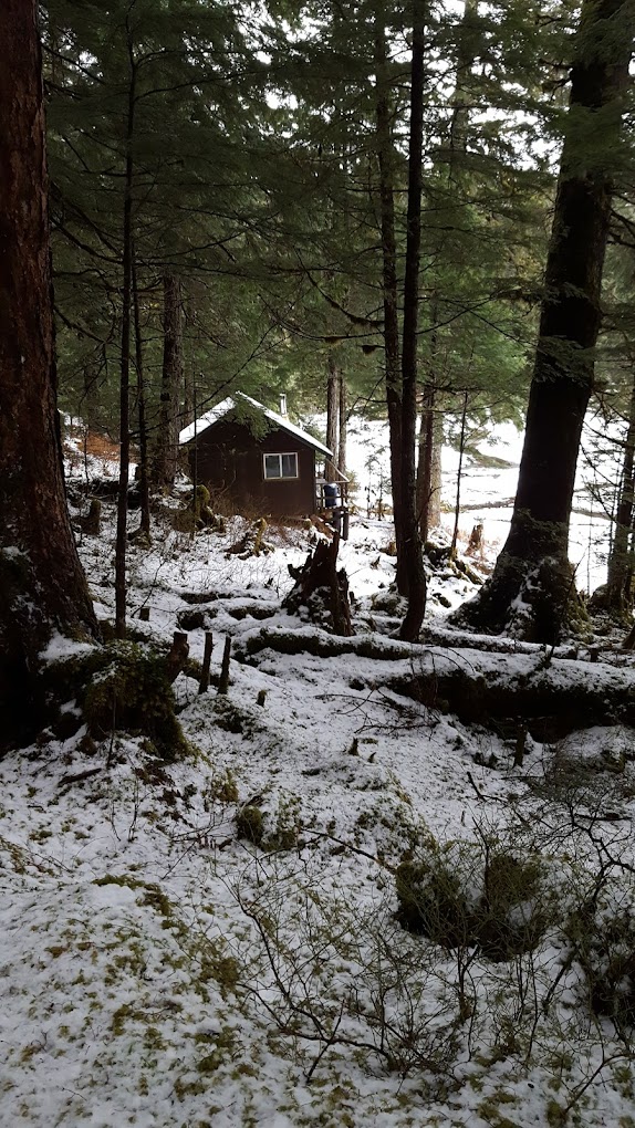 Mckinley Trail Cabin