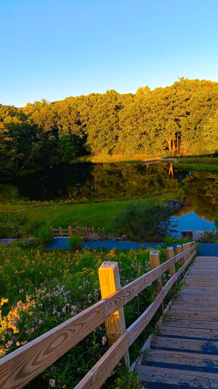 Locust Lake State Park