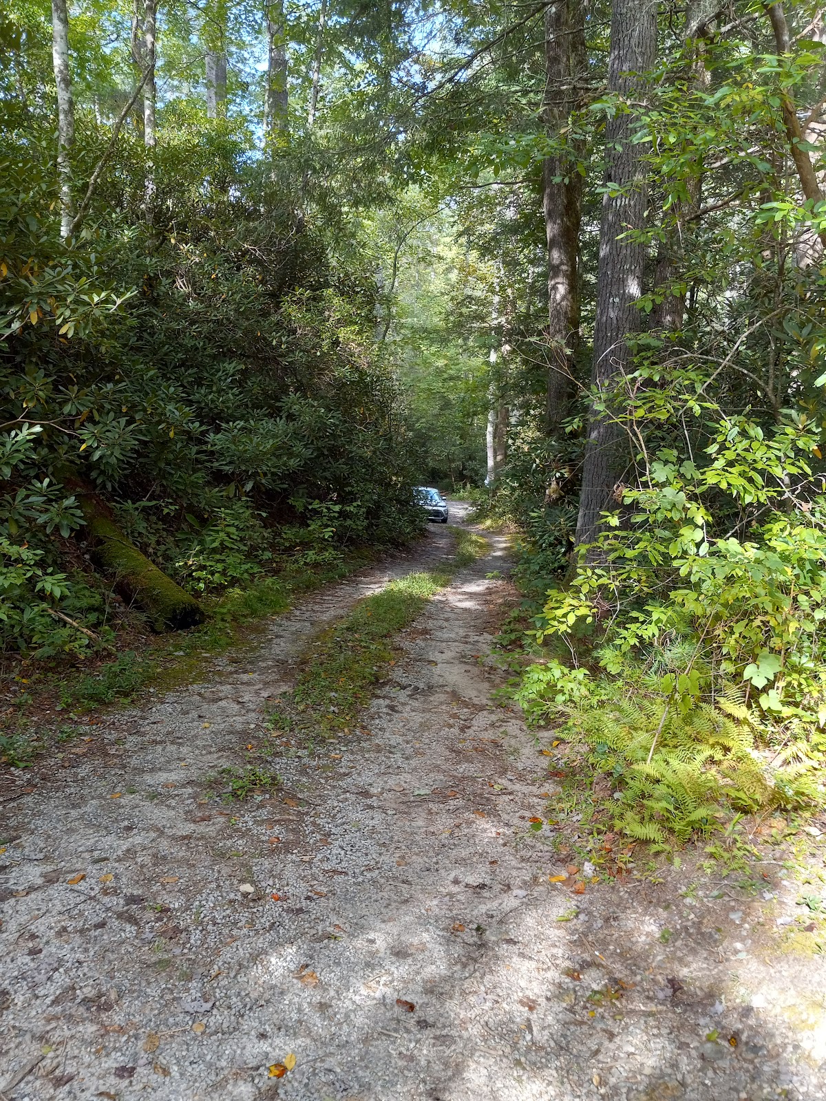 Blue Valley Campground