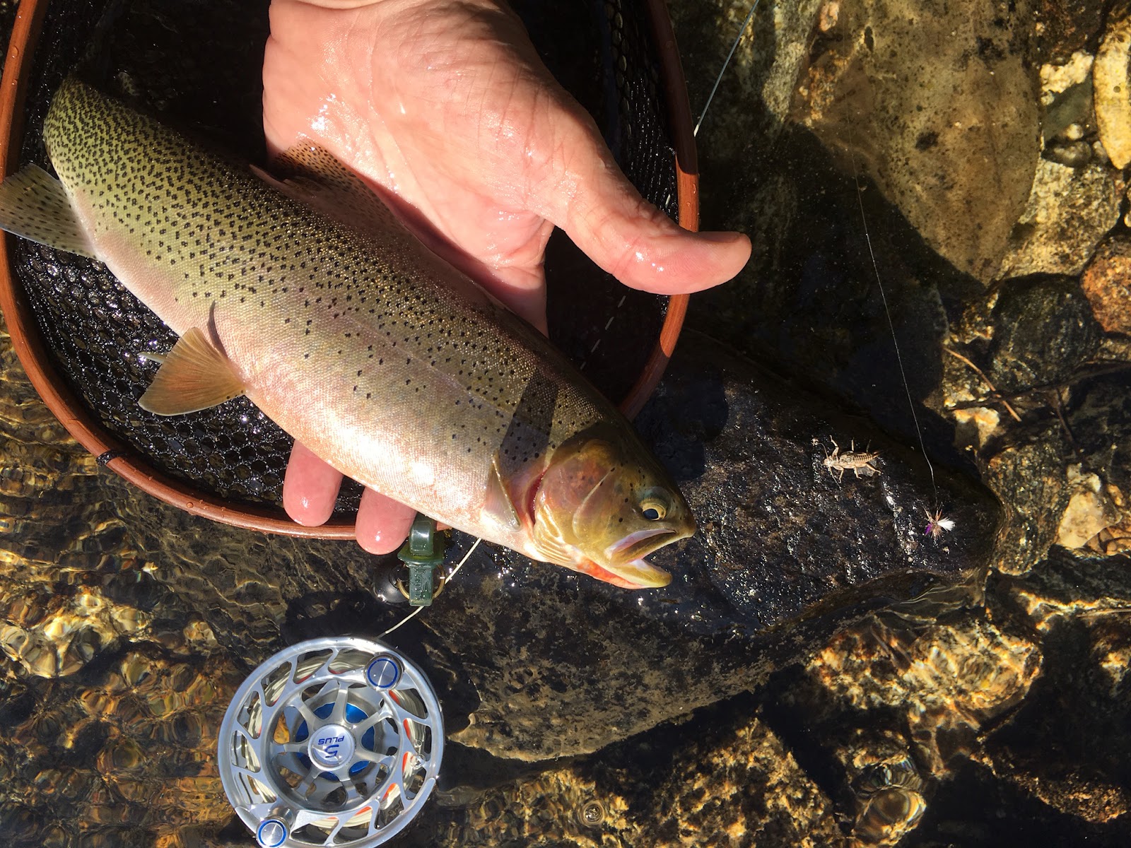 Kelly Forks Campground