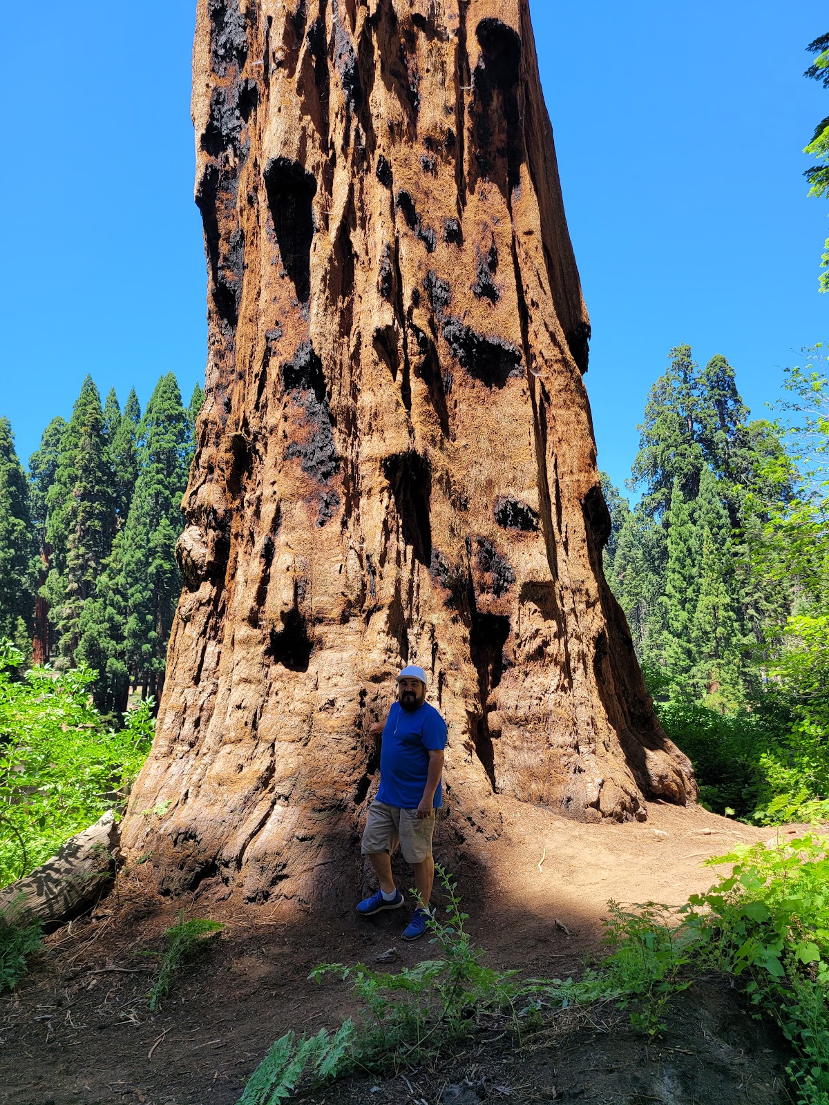 Balch Park Campgrounds