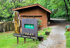 Treehouse Camp At Maple Tree