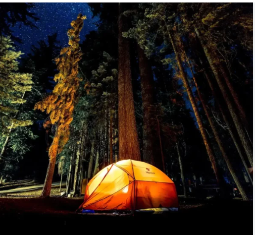 Allens Campground & Marina