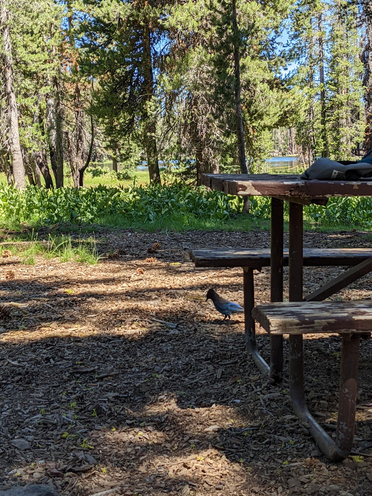 Summit Lake South Campground
