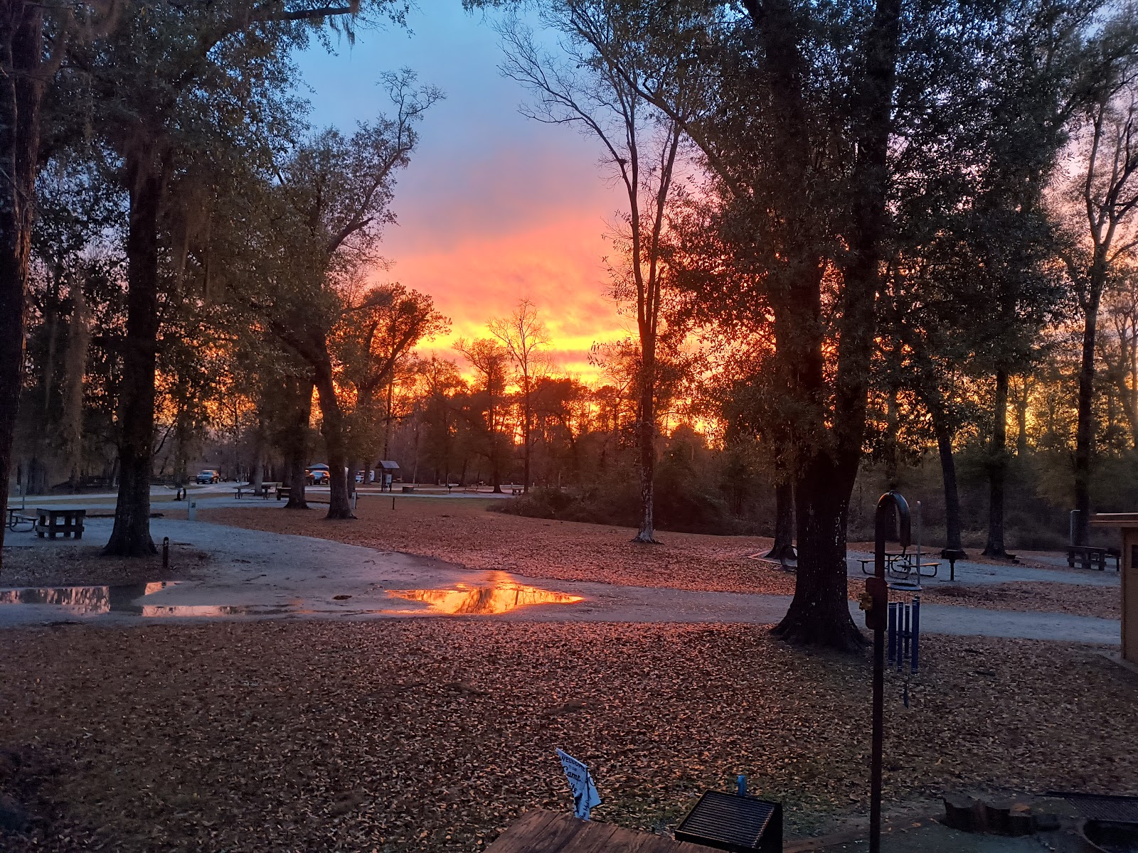 Hales Landing Campground