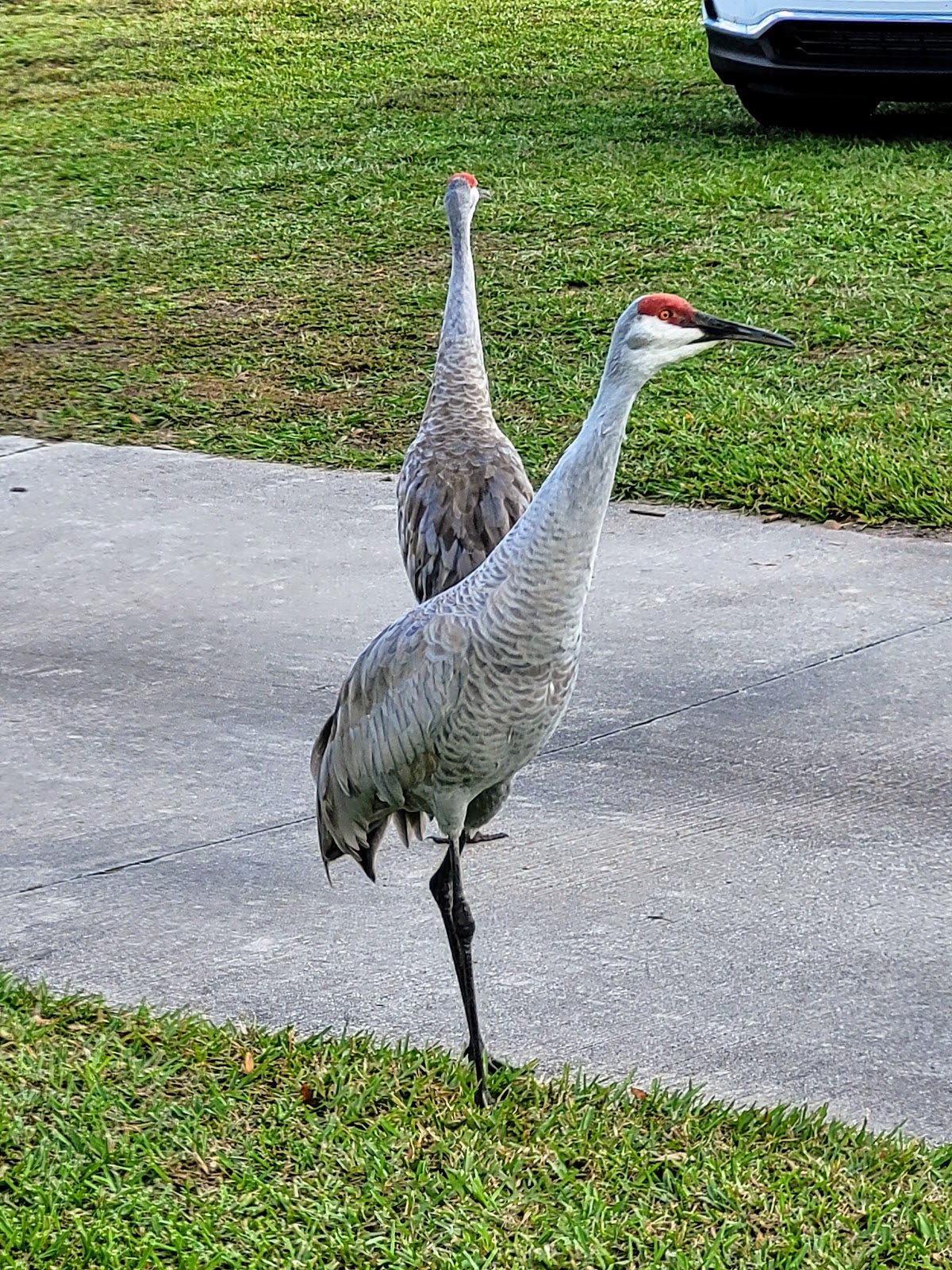 Craigs RV Park & Resort