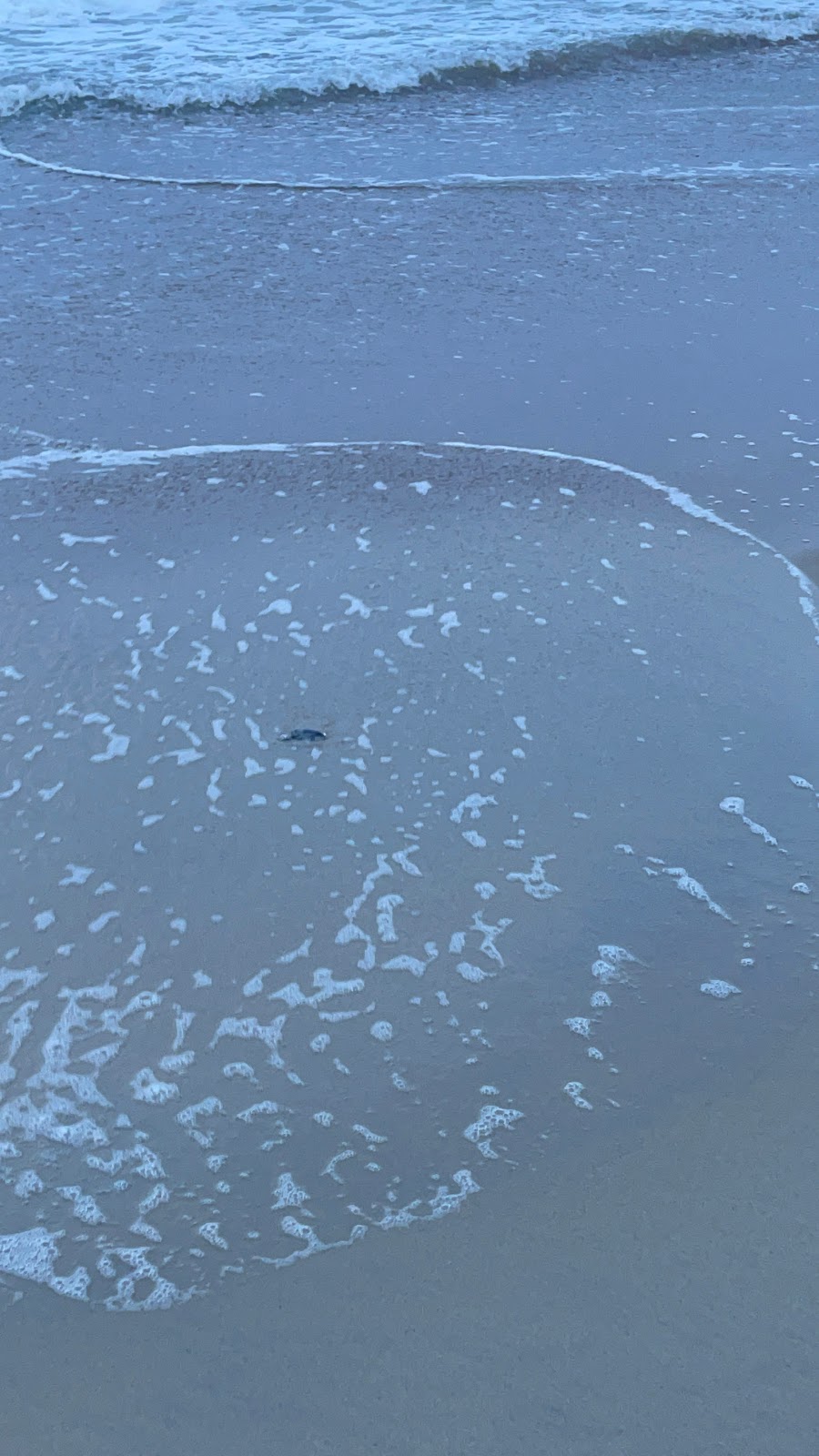 Frisco Woods Campground